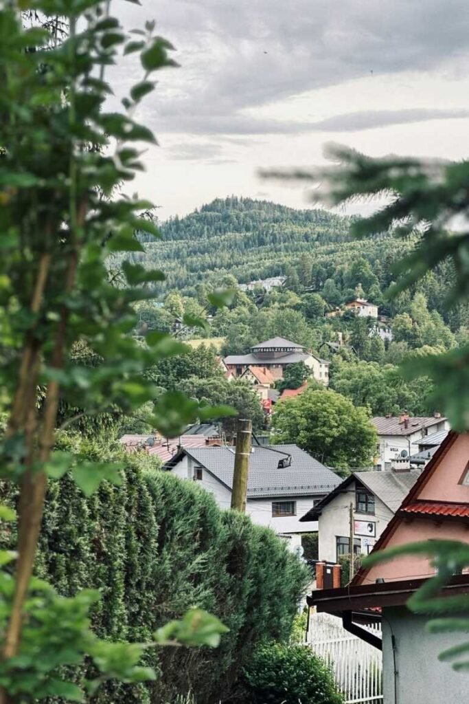 A quaint village with grey and red-roofed houses nestled among lush, green hills and trees, under an overcast sky.